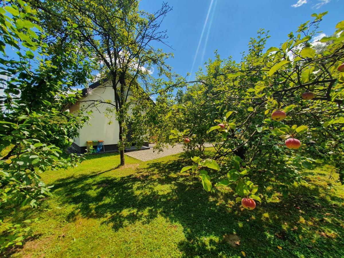 Tetmajera View & Garden Dębica Exterior foto